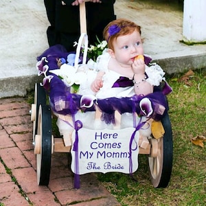 baby ring bearer wagon