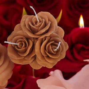 Rose lit