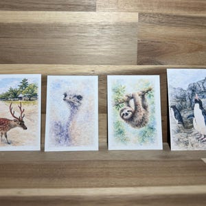 May include: Four watercolor art prints featuring wildlife. The prints depict a deer in a field, an ostrich, a sloth hanging from a branch, and penguins on a rocky shore. The prints are rectangular and have a white border.