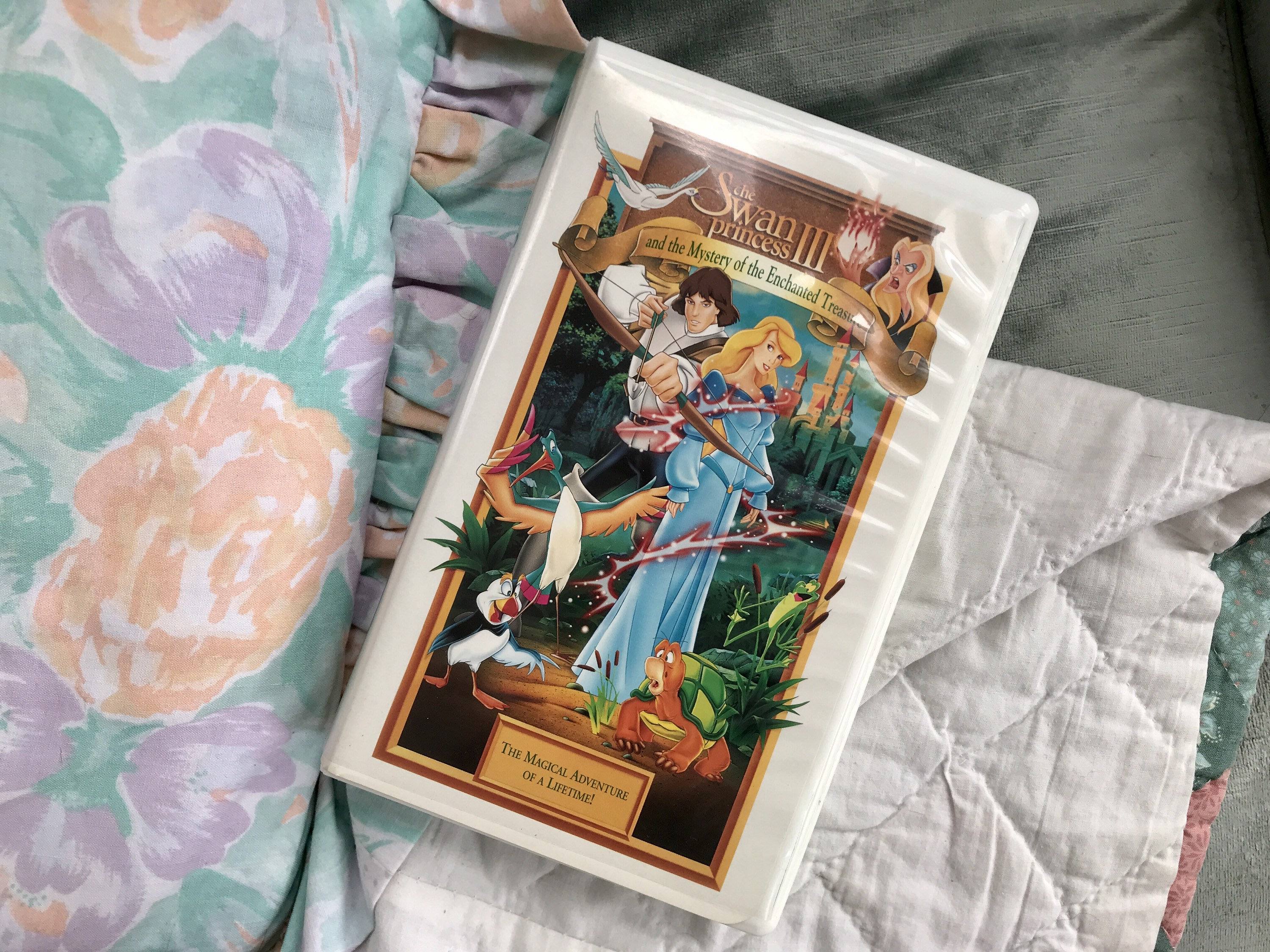 The Swan Princess The Mystery Of The Enchanted Treasure