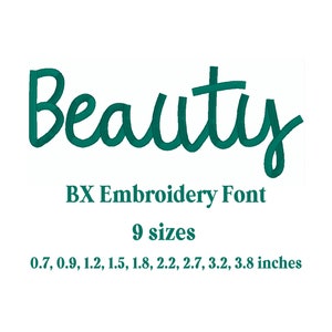 Beauty Embroidery Font Machine Embroidery Design Punctuations and numbers Instant Download 9 Sizes 9 Formats BX