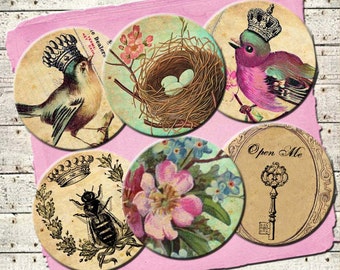 INSTAND DIGITAL DOWNLOAD - Victorian Bird Queens Vintage French Wallpaper - Jewelry Collage Sheet - 1 Inch Circles - Necklaces Pins Magnets