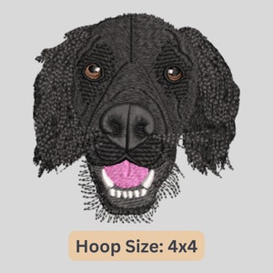 Spaniel Dog Embroidery Design, Realistic Cocker Spaniel Embroidery File, Animal Embroidery Instant Download, Boykin Spaniel Instant Download