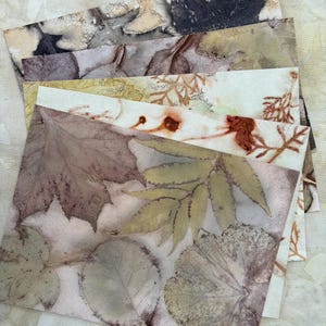 Eco Printed Paper Pack – Botanical Print, Scrapbooking, Card Making (A5)