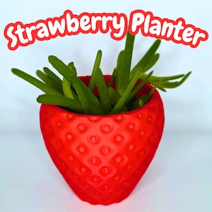 May include: A red strawberry-shaped planter with a green plant inside. The planter has a textured surface that resembles the seeds of a strawberry.