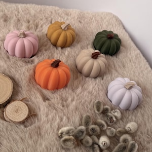 Könnte beinhalten: Sechs kleine, glatte, abgerundete kürbisförmige Ornamente in den Farben Hellrosa, Senfgelb, Dunkelgrün, leuchtendes Orange, Beige und Helllila, jeweils mit einem kleinen braunen Stiel, begleitet von zwei runden Holzscheiben und Weidenkätzchen.