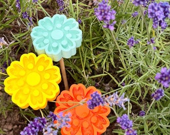 Trinkstelle für Insekten – Insektentränke für Garten + Balkon | Bienen- & Insektenhilfe aus PLA