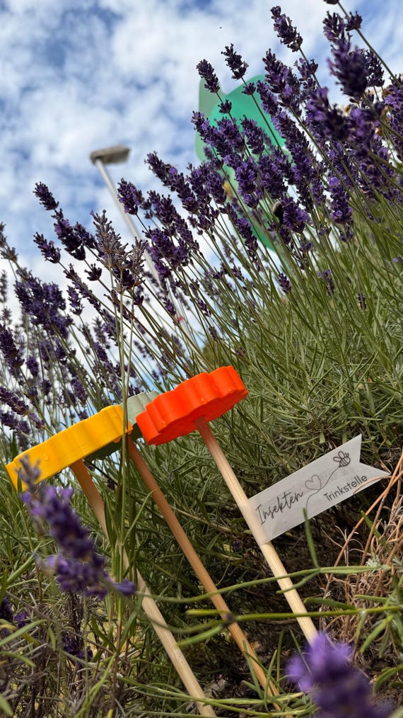 2x Bienentränke Aus Harz – Wetterfest – Blau & Rosa – Für Bienen, Hummeln & Schmetterlinge – Steckbar Für Garten & Balkon