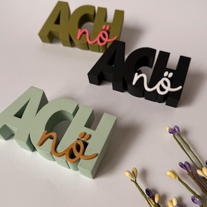 Könnte beinhalten: Dreidimensionale Holz-Wortkunst mit der Aufschrift "ACH nö" in verschiedenen Farben. Die Buchstaben "ACH" sind in Grün, Schwarz und Hellgrün gehalten, das Wort "nö" in Rosa, Weiß und Orange. Dekorative Blumenstiele sind im Hintergrund.