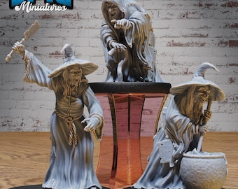 Green Hag Dungeons and Dragons Miniature D&D, figurines de table fantastiques