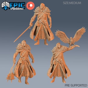 Peut inclure: Une miniature imprimée en 3D d'un personnage fantastique portant une cape à capuche et tenant une épée et une masse. Le personnage se tient sur un fond gris. La miniature est pré-supportée et de taille moyenne.