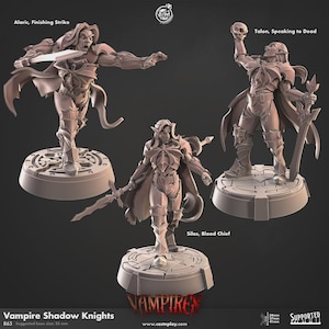Può includere: Tre miniature non verniciate di Vampire Shadow Knights. Le figure sono in pose dinamiche, una con una spada, un'altra che tiene un teschio e la terza con una spada. Le figure sono su basi circolari. Il testo "Vampires" è in basso.