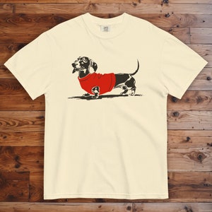 May include: A white t-shirt featuring a black and white illustration of a dachshund wearing a red jumper.
