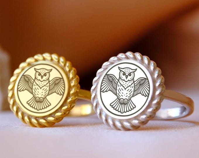 Scholar's Owl Signet Ring: Dark Academia Sterling Silver, Gold