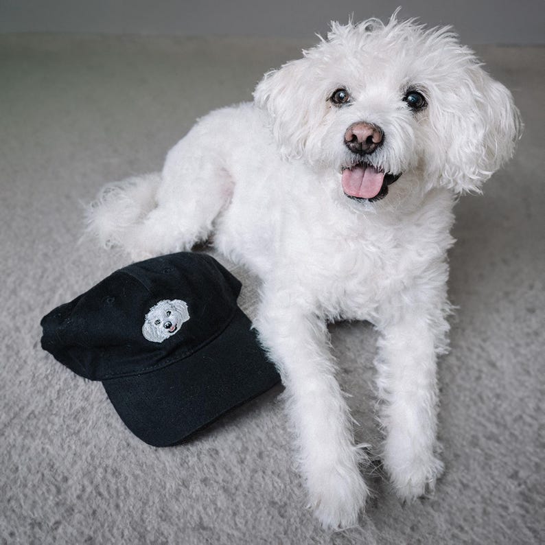 May include: A white fluffy dog wearing a black baseball cap with an embroidered image of a dog on the front. The dog is sitting on a gray carpet.