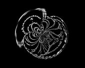 Modern wall decor Original signed fine art photo print 6x6 Abstract black and white Spider's web organic form round shape photo