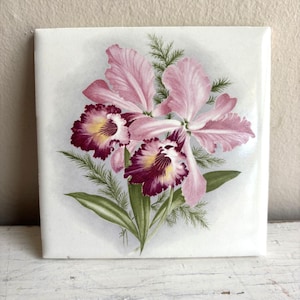 May include: A square ceramic tile featuring a detailed botanical illustration of two large pink and deep magenta orchids with yellow centers, surrounded by delicate green fern-like foliage against a soft, light gray circular background.