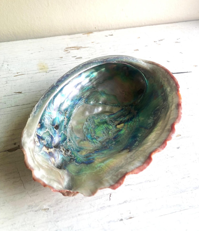 Oceans Enchanted : Abalone Altar Dish, Pastel Opalescent Shell - Etsy