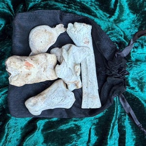May include: A black drawstring bag holding several off-white, weathered bone fragments. The bones vary in size and shape, with some appearing to be sections of larger bones. The bag is set against a backdrop of deep teal fabric.