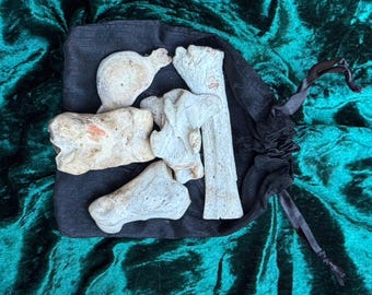 Ritual Bone Reading Set – 5 Ethically Sourced Assorted Bovine Bones with Bag for Divination & Spellwork