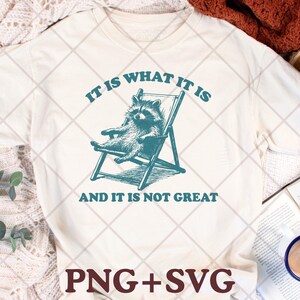 It Is What It Is And It Is Not Great PNG SVG File, Funny Raccoon Meme Design, Retro Y2K Raccoon Clipart, Cute Sarcastic Saying Sublimation