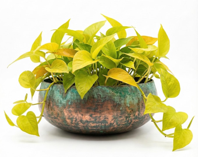 Handmade Verdigris Copper Planter, Moroccan Artisan Decor, Oxidized Vase