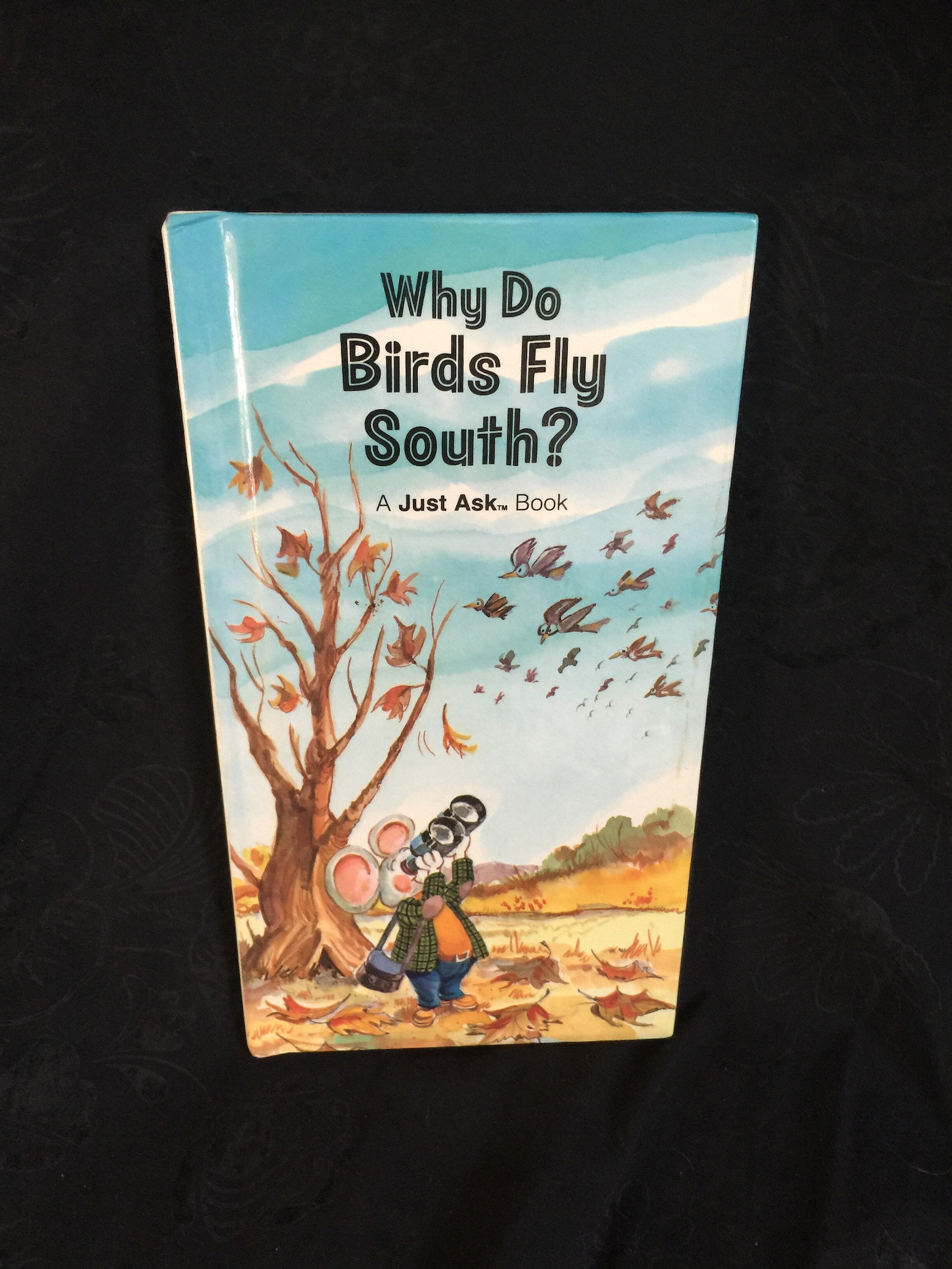 1986 Why Do Birds Fly South | Etsy