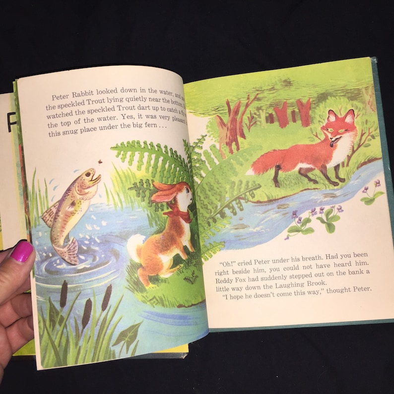 1954 Peter Rabbit and Reddy Fox Book - Etsy