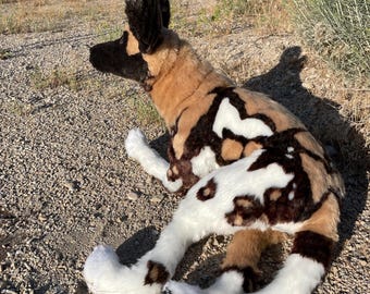Life Sized African Wild Dog