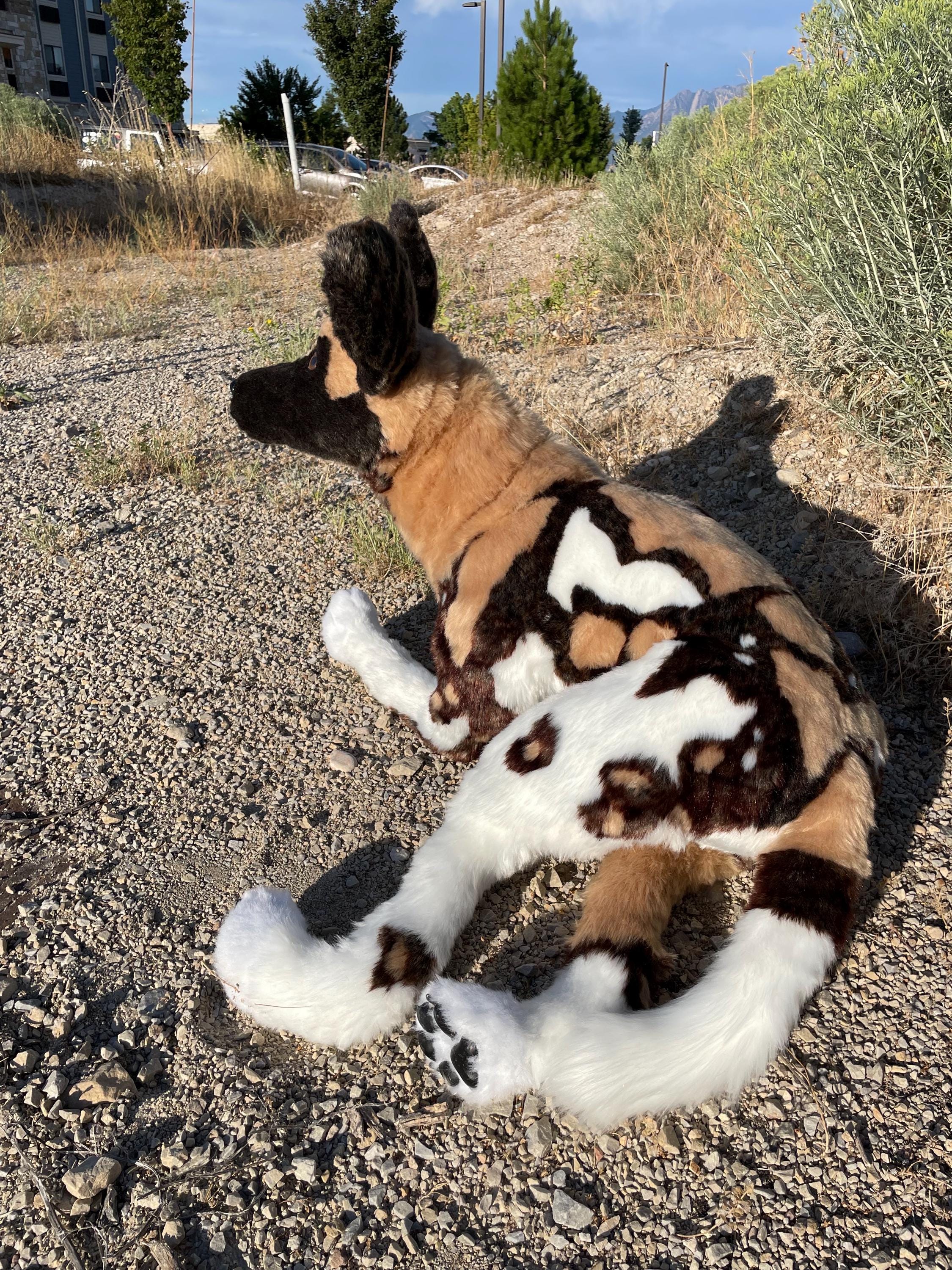 Life Sized African Wild Dog - Etsy