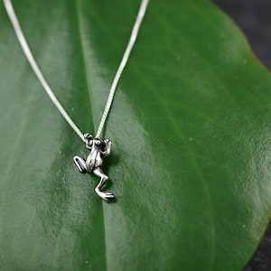 May include: A silver chain necklace with a small, detailed frog pendant. The pendant is hanging on a green leaf.