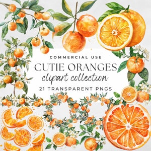 Aquarelle orange, orange des cliparts, couronne d'oranges, aquarelle d'agrumes, petit bébé mignon, fleur d'oranger, clipart agrumes, clipart petit cutie