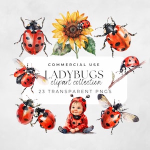 Coccinelle dell'acquerello, Clipart di insetti, Clipart di coccinella carina, Clipart di insetti d'amore, Arredamento dell'asilo nido, Clipart primaverile, Insetto dell'acquerello, Clip di coccinella