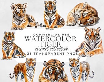 Clipart de tigre de acuarela, tigre PNG, arte de tigre, sublimación de tigre, lindo clipart de tigre bebé, tigre de acuarela PNG, gráfico de cabeza de tigre