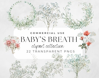Baby Breath Clipart, Watercolor Flower,  Baby Breath Flower, Baby&#39;s Breath Flower, Floral Wreath Png, Roses, Greenery, Border Frames