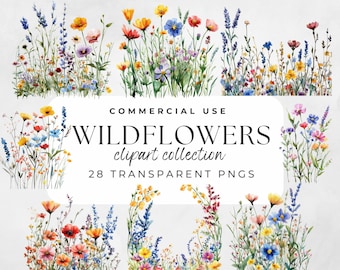 Clipart de flores silvestres, acuarela, flores, ramo de flores silvestres, flores silvestres PNG, borde de flores silvestres, marco de flores silvestres, clipart de prado