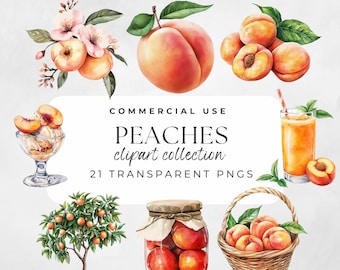 Watercolor Peach Watercolor Clipart Watercolor Florals Illustration Peach Peach Floral Clipart Peach Fruit Clipart, Fruit Png