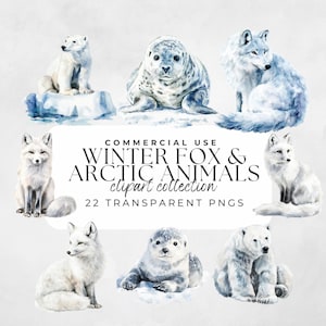 Winter Fox Clipart, Arctic Animals, Penguin Watercolor Clipart, Christmas Clipart, Clipart Bundle, Watercolor Fox, Christmas Animals, Winter