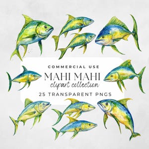 Mahi Mahi Clipart, Salzwasserfisch PNG, Fisch Illustration, Mahi Mahi Druck, Ozean Fisch Clipart, Fisch Clipart svg, Ozeanfisch Png, Fisch Png