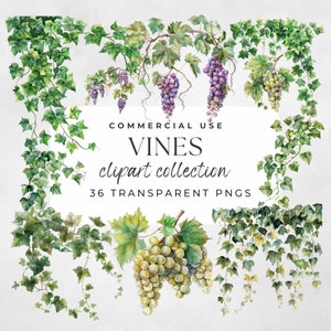 Vines Clipart, Greenery Clipart, Ivy Vines Clipart, Watercolor Greenery, Watercolor Leaves, Vines, Wedding Greenery, Grapes