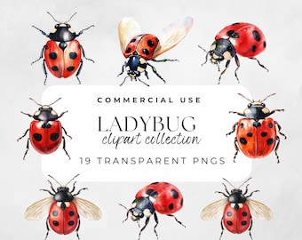 Nyckelpiga Clipart Akvarell Nyckelpiga Söta Kryp Kärlekskryp Insekt Clip Art Söt Trädgård Barnrum Illustration Utskrivbar Barnväggkonst