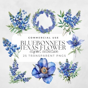 Bluebonnet Clipart, Texas State Flower, Wildflower Clipart, Watercolor Flowers, Blue Flower Clipart, Bluebonnet Flower, Texas Bluebonnet Png