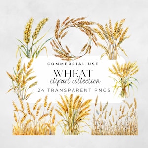 Wheat Field Png, Wheat Field Clipart, Watercolor Wheat, Wheat Graphics, Wheat PNG, Farm Crops Clipart, Wheat Field Svg, Field Landscape