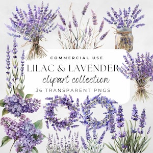 Lilac Floral Clipart, Watercolor Lilac, Lilac Bouquet, Lilac Wreath, Lilac Pattern, Lavender Clipart, Watercolor Lavender, Violet Flowers
