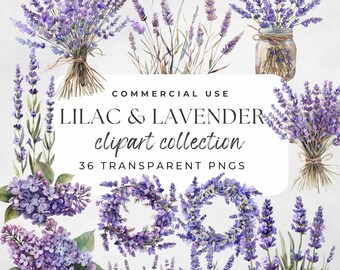 Clipart floreale lilla, acquerello lilla, bouquet di lillà, ghirlanda di lillà, motivo lilla, clipart di lavanda, acquerello di lavanda, fiori viola