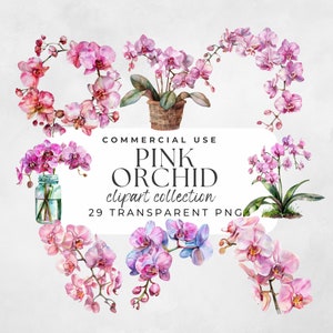 Pink Orchid PNG, Watercolor Orchid, Watercolor Flower, Pink Orchid Png, Spring Flowers, Watercolor Png, Spring Floral, Orchid Bouquet Png