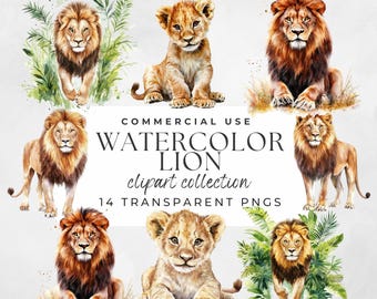 Clipart de leão em aquarela, clipart de leão bebê, clipart digital, pacote de clipart, imagens de leão para artesanato digital, leão fofo, ilustrações de leão.