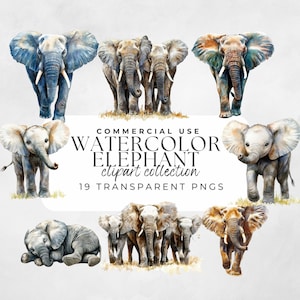 Elephant Watercolor Clipart, Elephant Baby Shower, Cute Elephant, Baby Elephant, Nursery Elephant, Elephant PNG