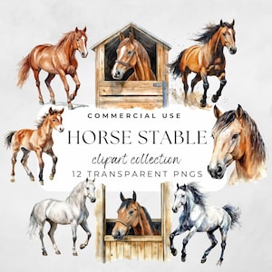 Pferdestall Png, Aquarell Clipart, Pferdestall Clipart, Pferde Clipart, Pony Clipart, Reiter Clipart, süsse Pferde, junges Pferd Png