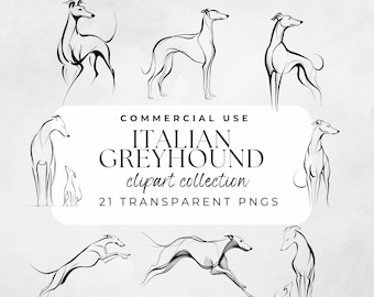 Italian Greyhound Outline Silhouette Watercolor Outline Dogs Greyhound Icons Transparent PNG Sighthound Illustration Line Art Cricut Craft